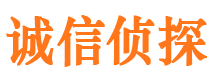 锦江侦探公司